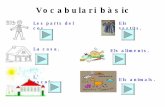Vocabulari BàSic