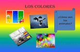 Diapositivas  los colores  exposición en niños de primaria.