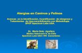 Diagnóstico y Terapia de alergias  en caninos y felinos
