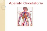 Aparato Circulatorio (Guia Practica)