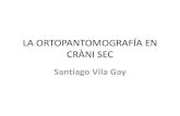 La ortopantomografía en cràni sec academia 2014