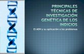 Principales Técnicas de Investigación Genética de los Indicios
