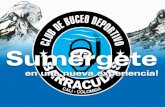 Club de Buceo Barracudas