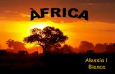 Àfrica: una mica de tot