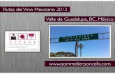 Rutas del vino mexicano 2012