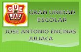 LOS INVERTEBRADOS GUE "JAE"-Juliaca