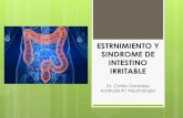Estrenimiento y sindrome de intestino irritable