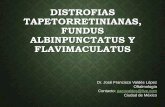 Clase distrofias tapetorretinianas, fundus albinpunctatus y flavimaculatus[1]