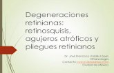 Clase degeneraciones retinianas  retinosquisis, agujeros y pliegues retinianos[1]