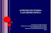 Apendicectomia laparoscopica