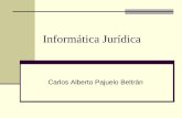 Informatica Juridica Y Derecho