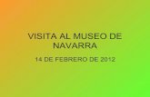 Visita al museo de navarra