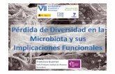 Pérdida de diversidad en la microbiota y sus implicaciones funcionales_Francisco Guarner