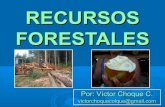 Tema 3. recursos forestales mundiales 2013