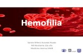 Seminario hemofilia