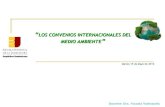 ENJ-200: Convenios internacionales del Medio Ambiente (Dra. Yocasta Valenzuela)