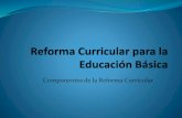 Reforma curricular para la educación básica