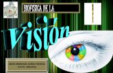 Biofísica de la visión