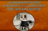 Rehabilitacion cognitiva y estática en adulto mayor