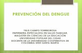 Campaña de prevencion del dengue enfermeria