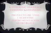 Katherine angélica fandiño castañeda proyecto de vida (2)