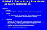 4. Procariotas Vs. Eucariotas