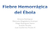 EBOLA 2014 FISIOPATOLOGIA TRATAMIENTO MANEJO COMPLETO COLOMBIA
