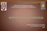 Hiperprolactinemia homeopa