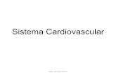 Cardiovascular completo (2)