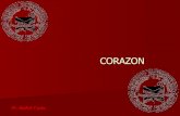 25  Corazon