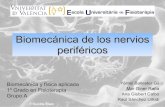 Biomecánica de los nervios periféricos