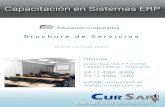 CurSAP Brochure Servicios 2012