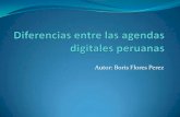 Diferencias entre las agendas digitales peruanas