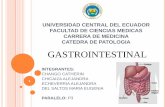 Patologia gastrointestinal