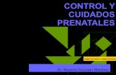 07 control prenatal