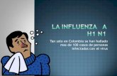 La Influenza   A H1 N1