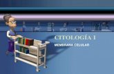 Citología: estructura de las celulas