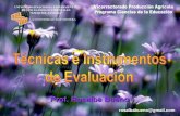 Técnicas e instrumentos evaluación (presentación)
