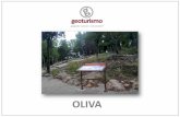 Geoturismo en Oliva