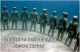 Esculturas bajo el agua - Jason Taylor