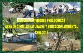 Actividades pedagogicas ciencias naturales 2012