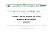 Sintesis informativa 130111