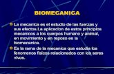 Biomecanica (1)