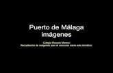 Imagenes Del Puerto De MáLaga