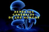 Aspectos generales de_los_hongos_(expo_micro) lino