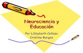 Neurociencia y-educación