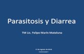 Clase parasitosis y_diarrea