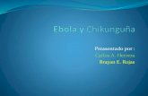 ebola y chikunguña