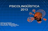 Psicolingüística clase nº1 primaria 2013