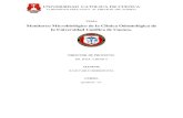 Analisis microbiologico clinica odontologica universidad catolica cuenca